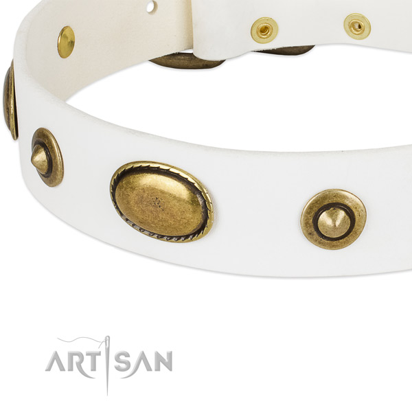 Strong decorations on full grain leather dog collar for your doggie