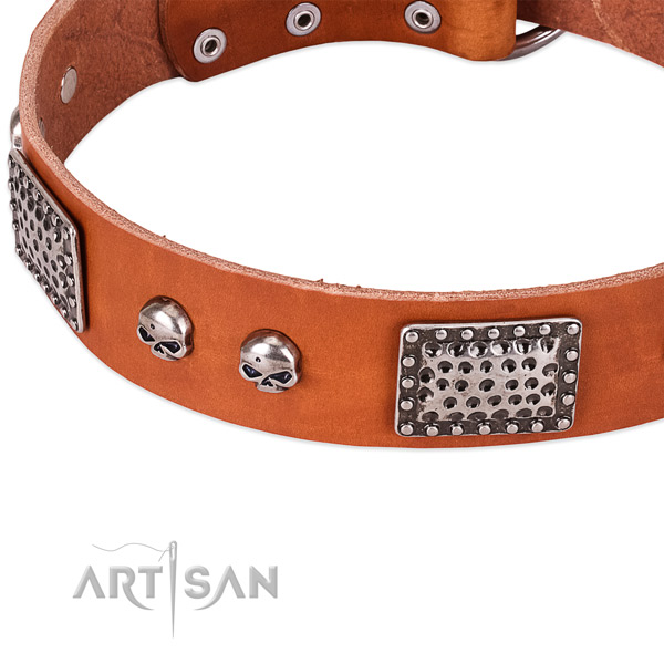 Rust-proof fittings on genuine leather dog collar for your four-legged friend