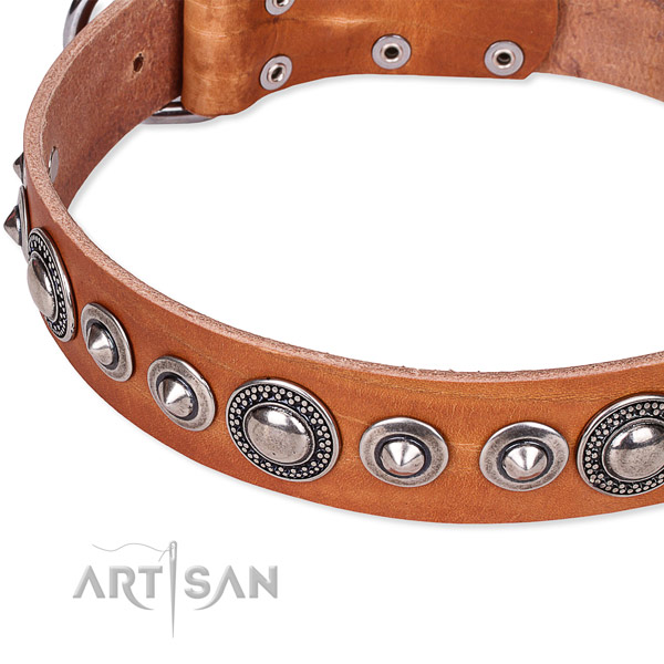 Fancy walking adorned dog collar of fine quality full grain natural leather