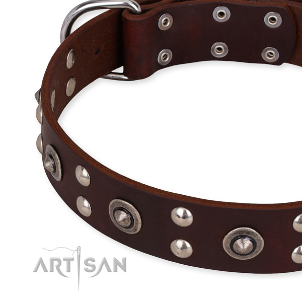 Genuine leather collar with durable hardware for your handsome four-legged friend