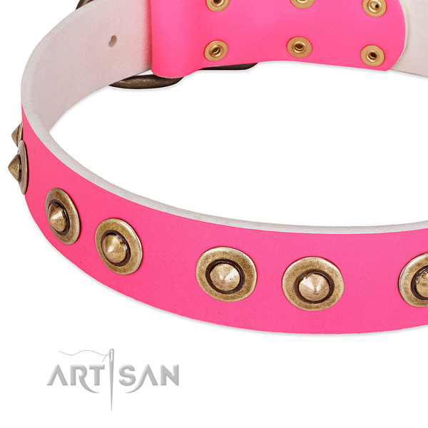 Rust resistant fittings on full grain leather dog collar for your doggie