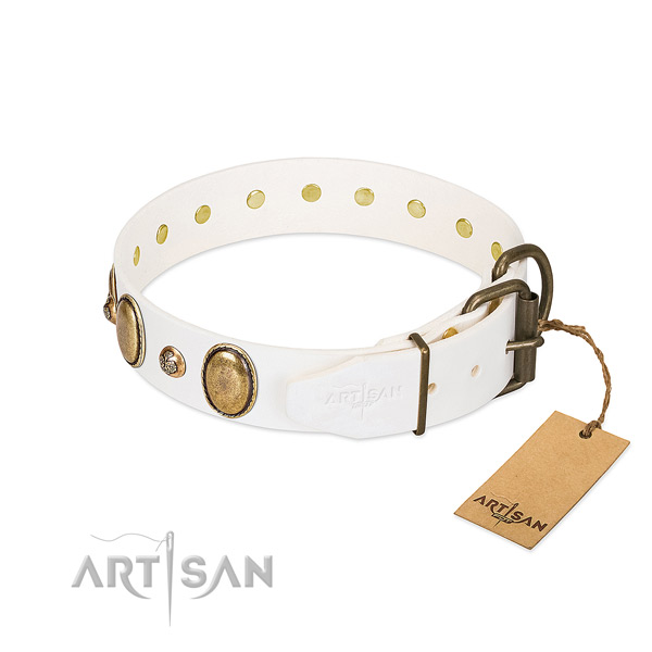 Walking full grain genuine leather dog collar