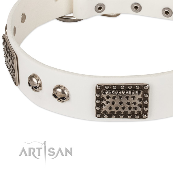 Rust-proof adornments on full grain leather dog collar for your dog