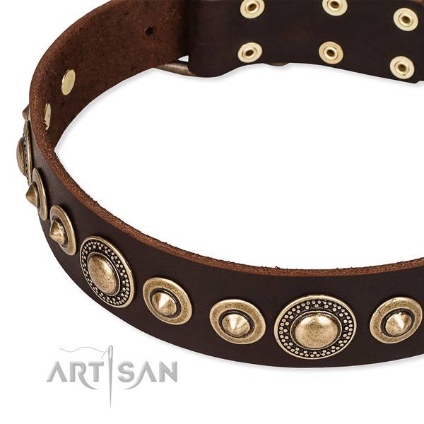 Strong full grain genuine leather dog collar crafted for your lovely four-legged friend