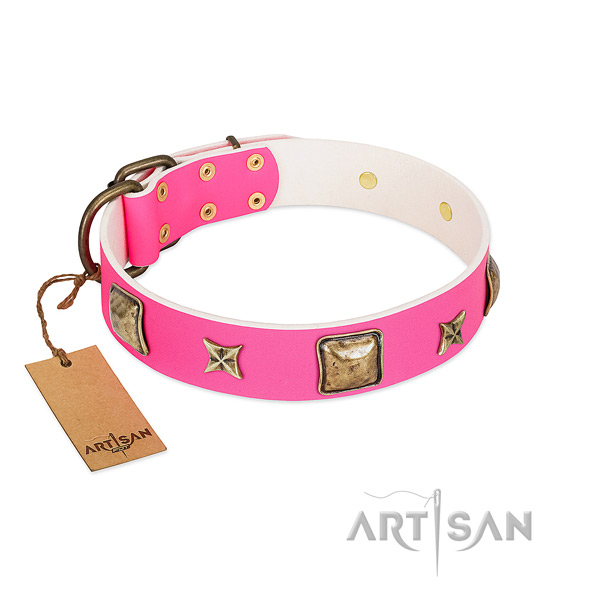 Genuine leather dog collar of reliable material with impressive studs