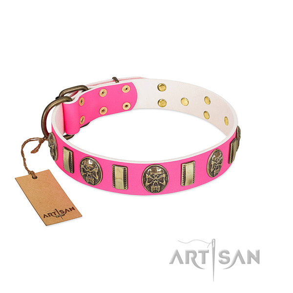 Corrosion resistant embellishments on full grain natural leather dog collar for your four-legged friend