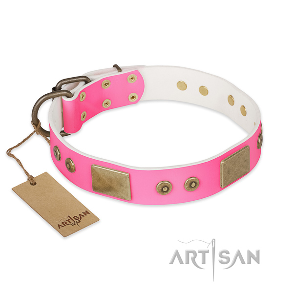 Exceptional natural genuine leather dog collar for daily walking