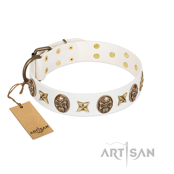 Perfect fit genuine leather dog collar for stylish walking