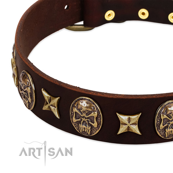Corrosion proof embellishments on leather dog collar for your dog