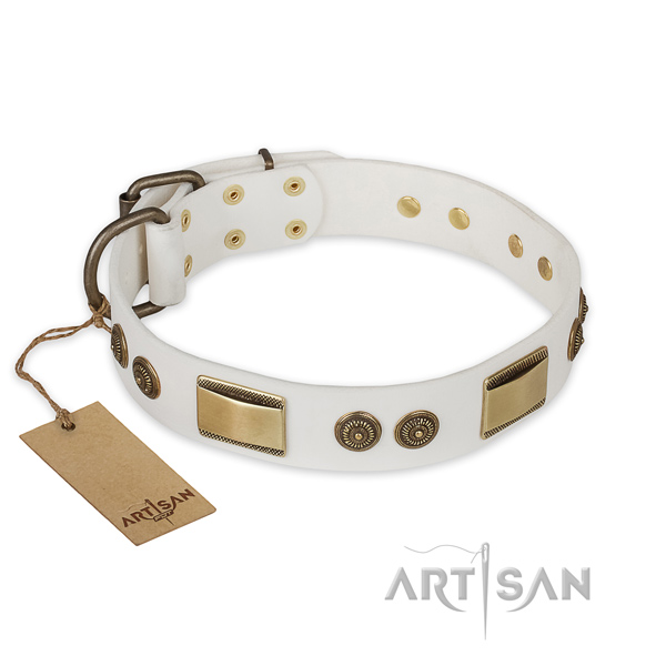Remarkable full grain genuine leather dog collar for basic training