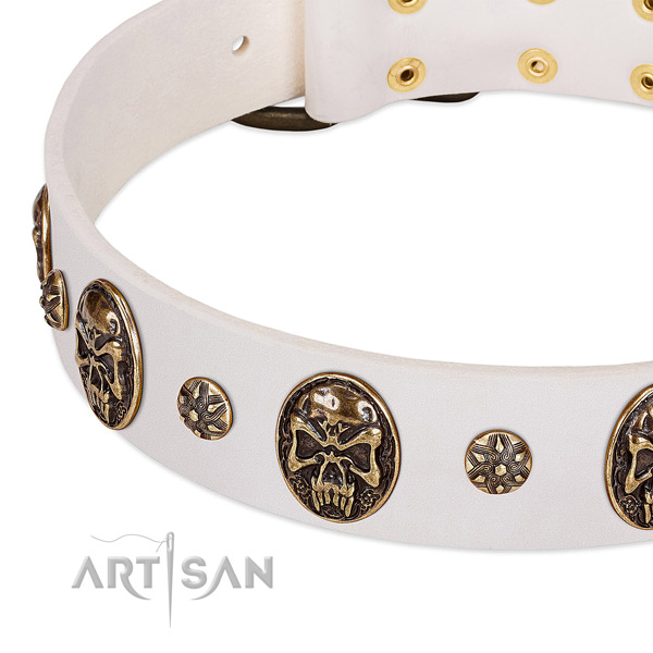Corrosion proof adornments on genuine leather dog collar for your doggie