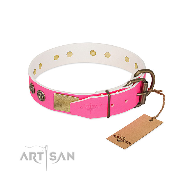 Strong D-ring on full grain genuine leather collar for everyday walking your four-legged friend
