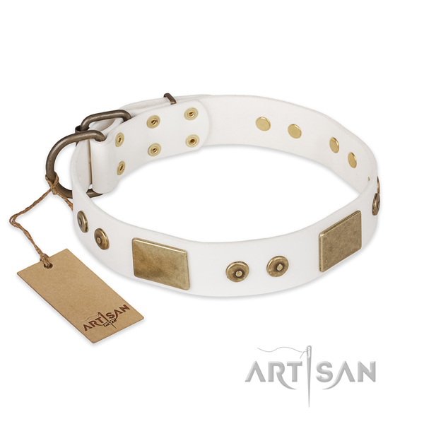 Handcrafted full grain natural leather dog collar for basic training