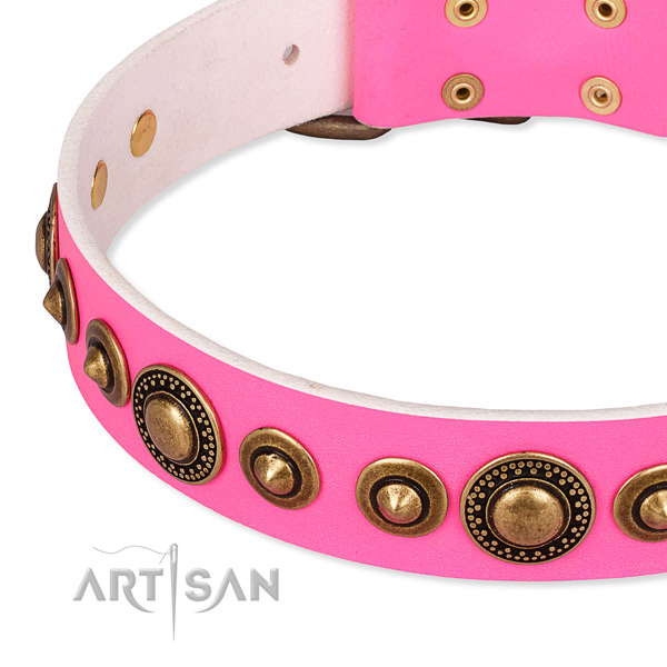 Quality full grain natural leather dog collar handmade for your attractive four-legged friend
