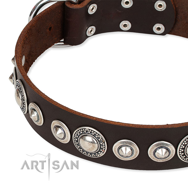 Stylish walking adorned dog collar of reliable full grain leather