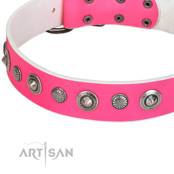 Genuine leather collar with rust resistant traditional buckle for your attractive doggie
