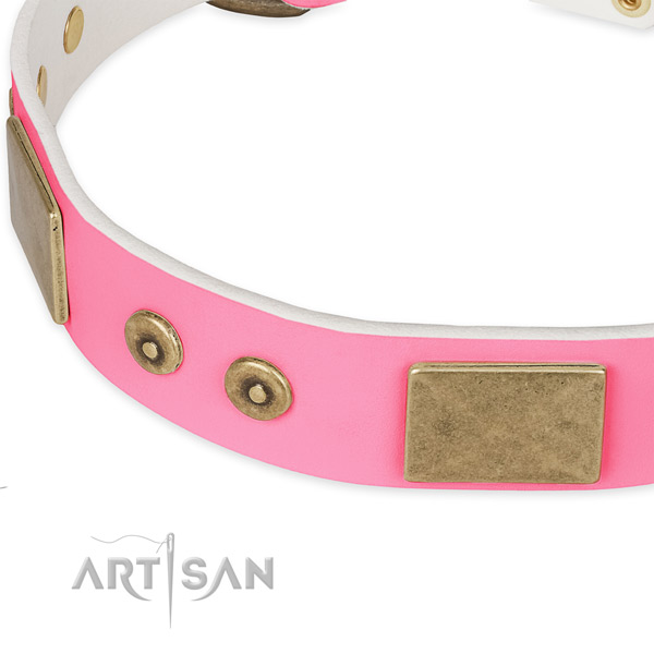 Full grain genuine leather dog collar with adornments for everyday walking