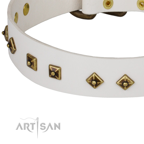 Unique full grain leather collar for your impressive pet