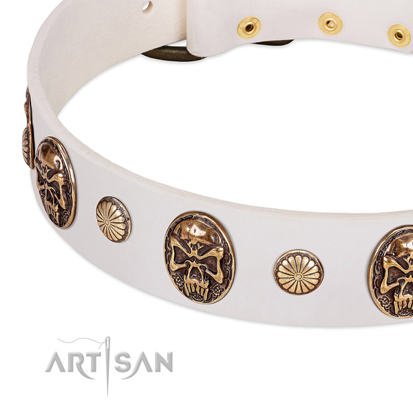 Corrosion resistant embellishments on leather dog collar for your dog