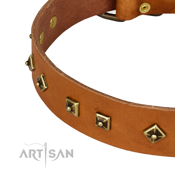 Handmade leather collar for your beautiful doggie