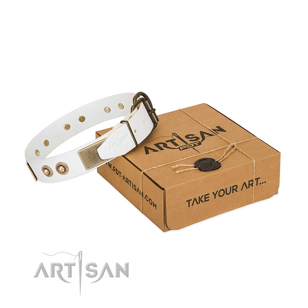Rust-proof buckle on genuine leather dog collar for your canine