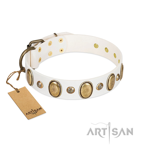 Genuine leather dog collar of gentle to touch material with trendy decorations