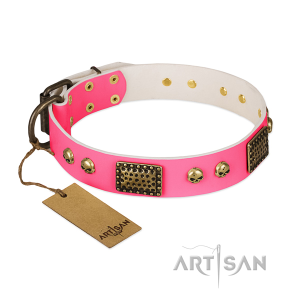 Easy to adjust leather dog collar for basic training your canine