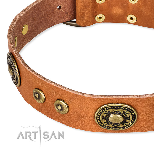 Leather dog collar made of soft material with studs