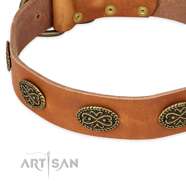 Extraordinary leather collar for your impressive dog