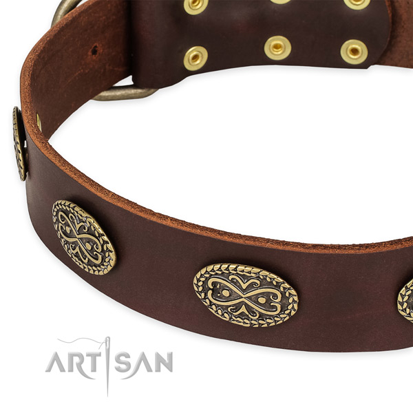 Best quality genuine leather collar for your stylish four-legged friend