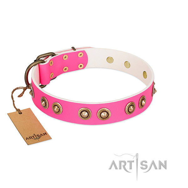Designer leather dog collar for stylish walking
