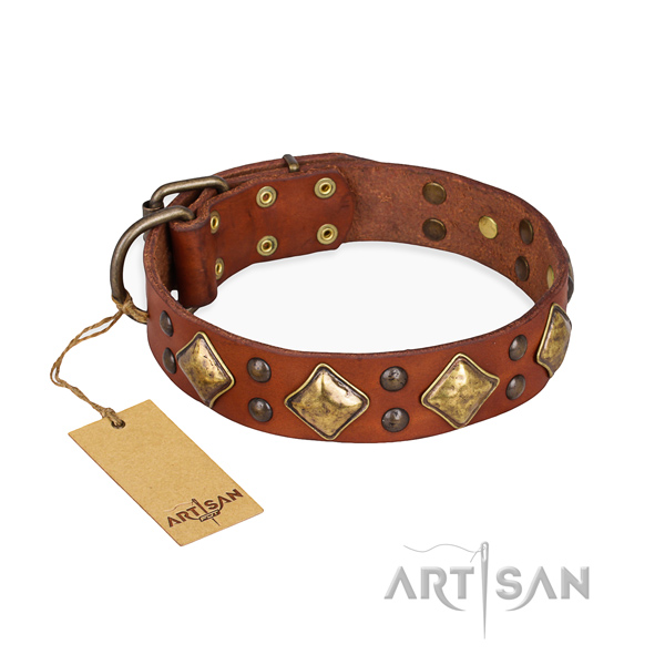 Comfy wearing embellished dog collar with durable fittings