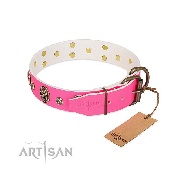 Reliable traditional buckle on full grain genuine leather collar for daily walking your pet
