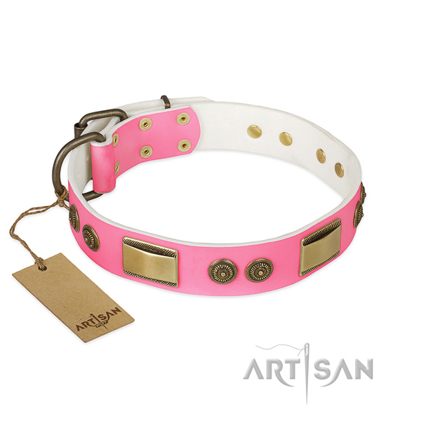 Incredible full grain leather dog collar for everyday walking
