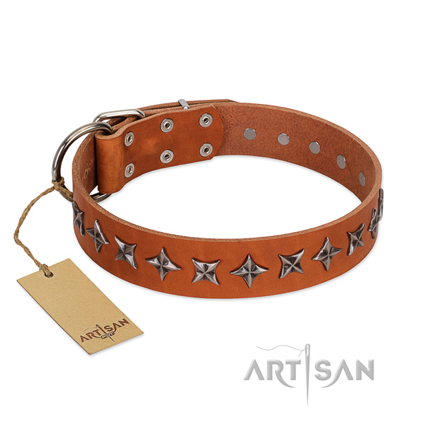 Walking dog collar of high quality natural leather with embellishments