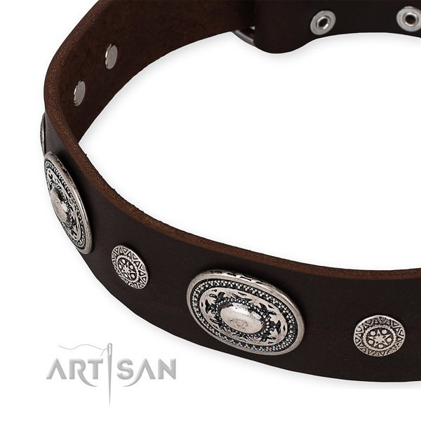 Top rate full grain natural leather dog collar crafted for your impressive doggie