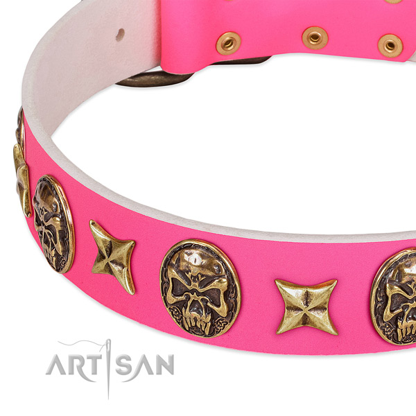 Leather dog collar with unique embellishments