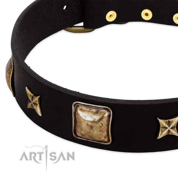 Genuine leather dog collar with unusual decorations