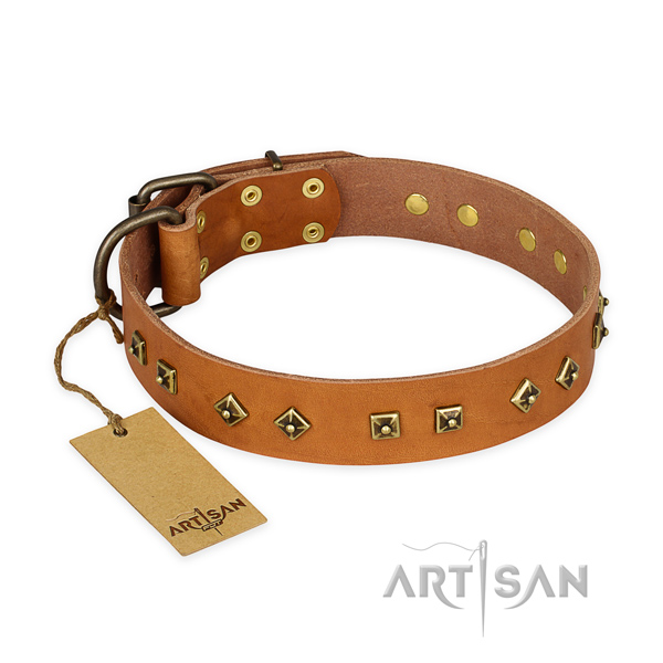 Perfect fit full grain natural leather dog collar with corrosion proof fittings