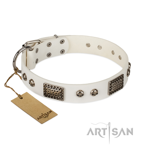 Adjustable genuine leather dog collar for everyday walking your pet