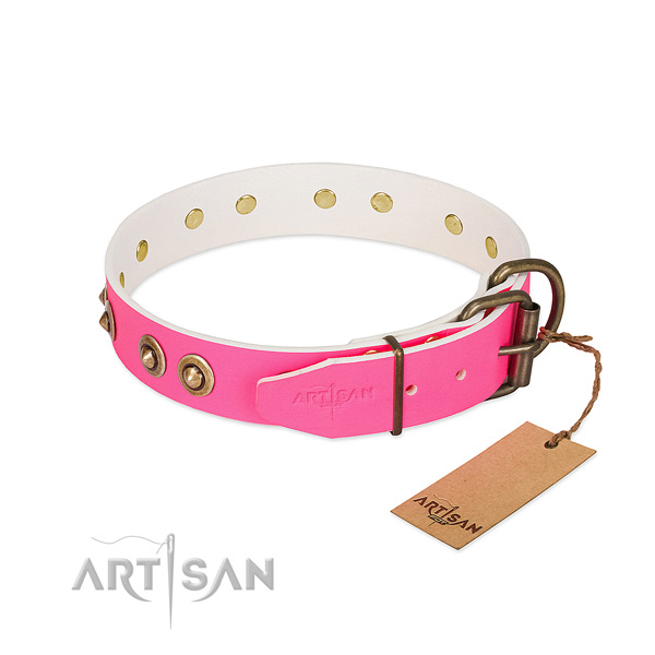Full grain genuine leather dog collar with durable traditional buckle and embellishments