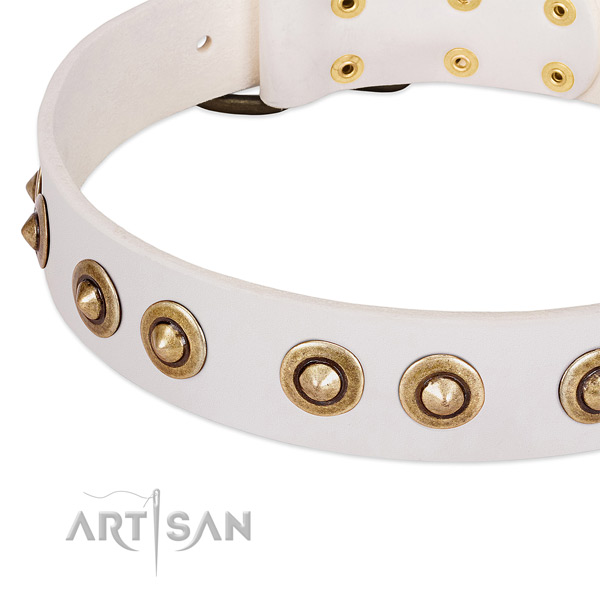 Corrosion resistant studs on full grain genuine leather dog collar for your doggie