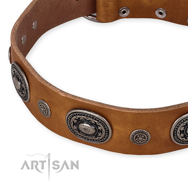 Top rate full grain leather dog collar handcrafted for your lovely dog