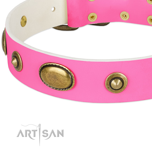 Durable studs on natural leather dog collar for your four-legged friend