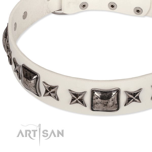 Everyday walking adorned dog collar of strong full grain genuine leather