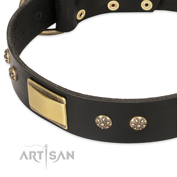 Durable D-ring on leather dog collar for your four-legged friend