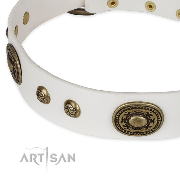 Exquisite leather collar for your attractive canine