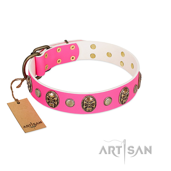 Corrosion proof D-ring on full grain leather dog collar for your four-legged friend