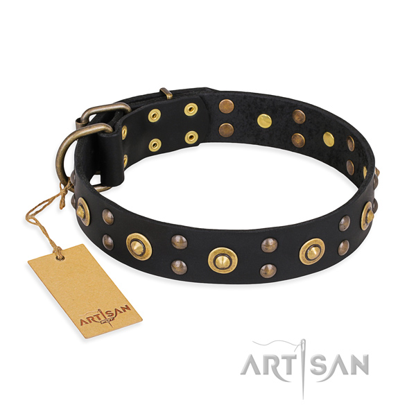 Exceptional full grain natural leather dog collar with rust resistant traditional buckle