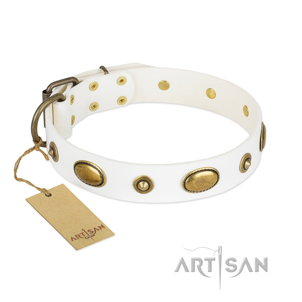 Exquisite leather collar for your pet